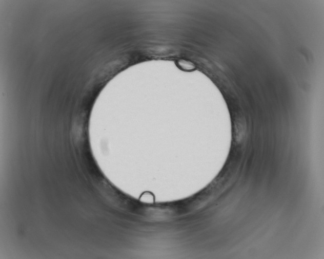 X0000113100515200910091142