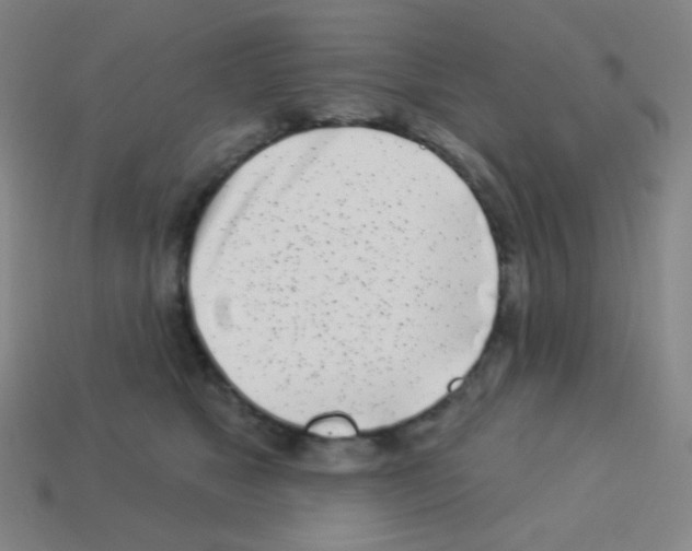 X0000113100517200910091142
