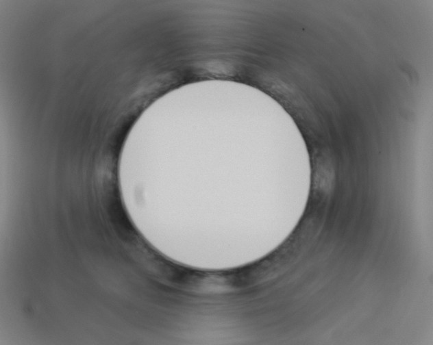 X0000113100518200910091142