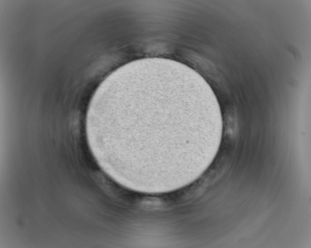 X0000113100519200910091142