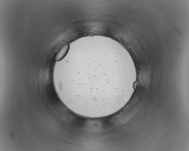 X0000113100520200910091142