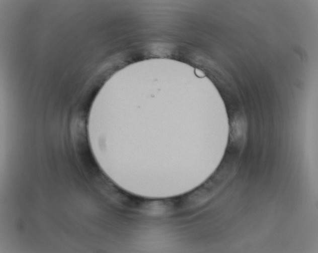 X0000113100522200910091142
