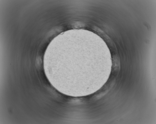 X0000113100523200910091142