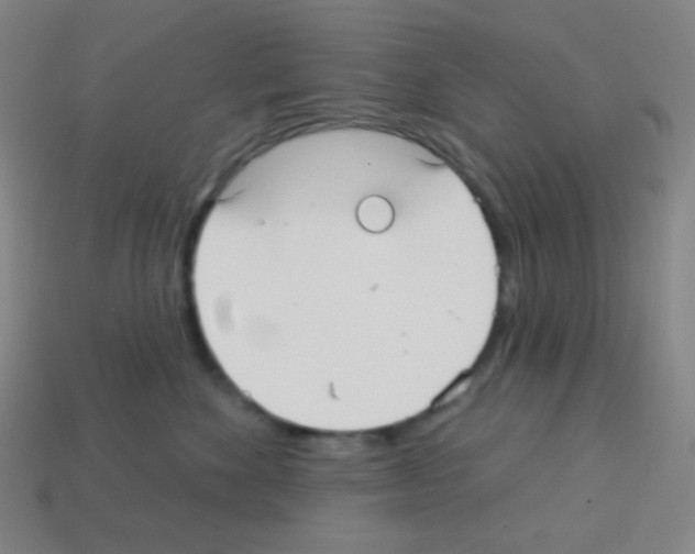 X0000113100524200910091142