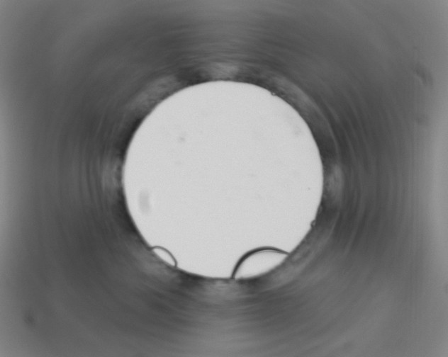 X0000113100525200910091142