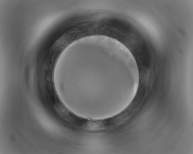 X0000113100526200910091142