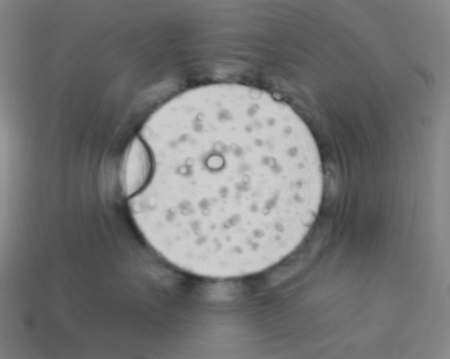 X0000113100527200910091142