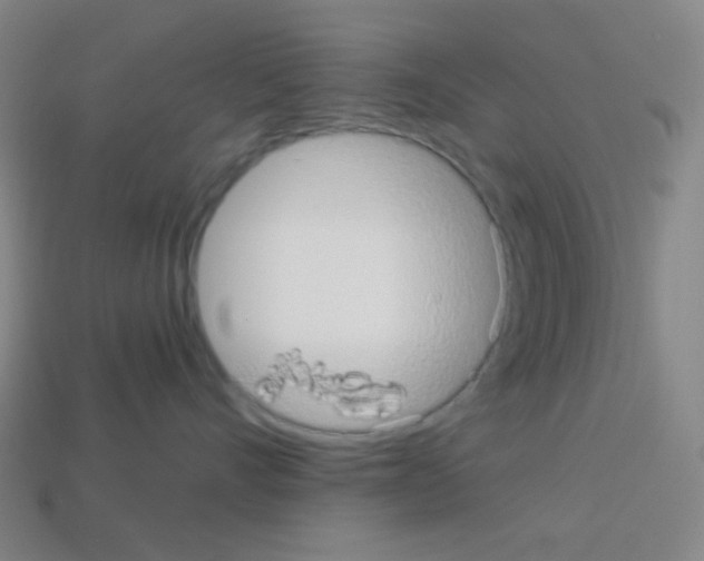X0000113100528200910091142