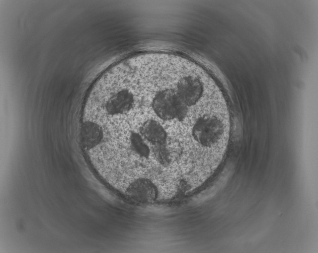 X0000113100529200910091141