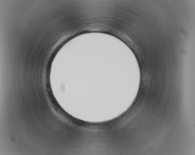 X0000113100530200910091141