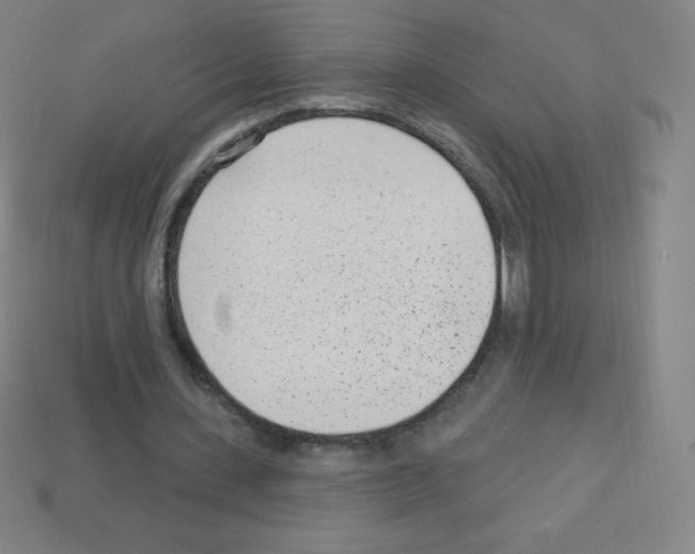 X0000113100531200910091141
