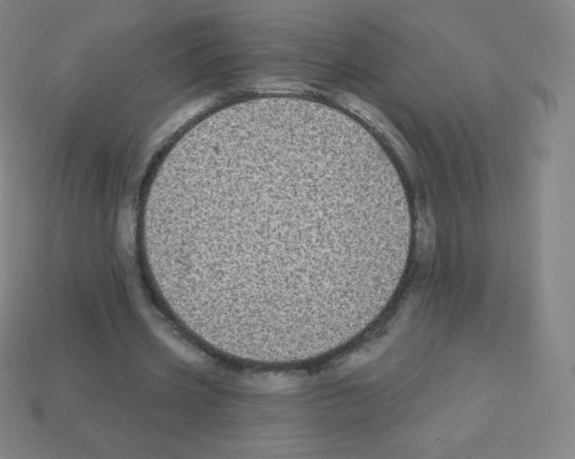 X0000113100533200910091141