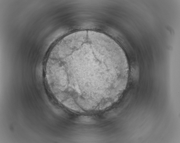 X0000113100534200910091141