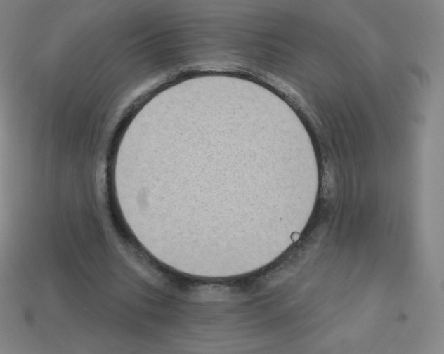 X0000113100535200910091141