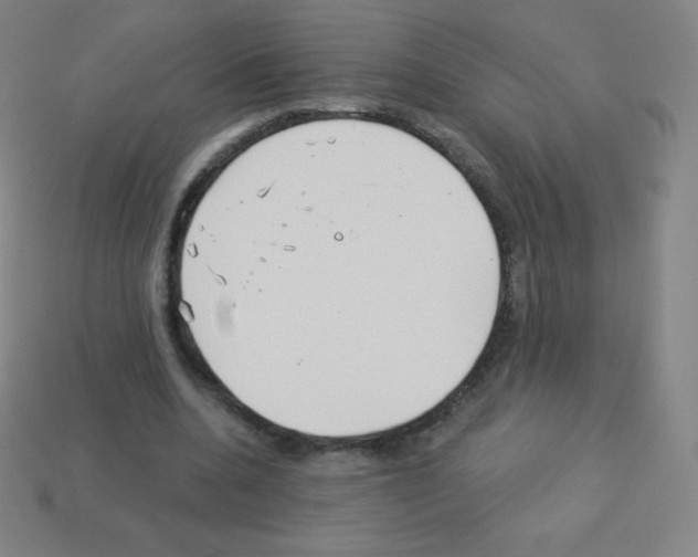 X0000113100536200910091141