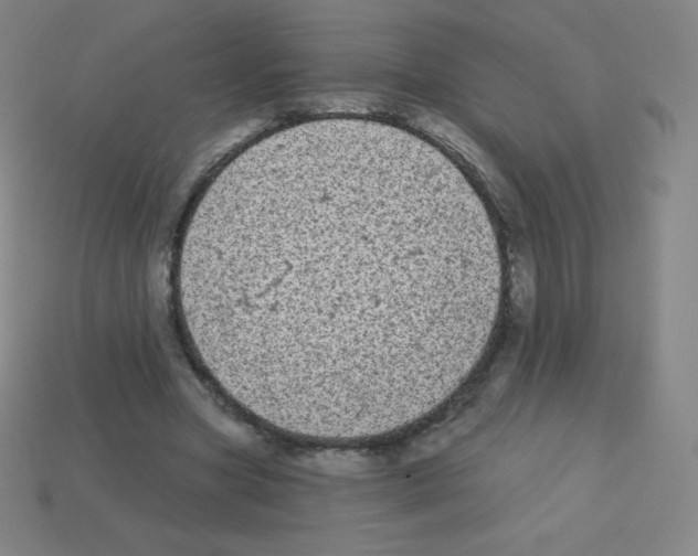 X0000113100537200910091141