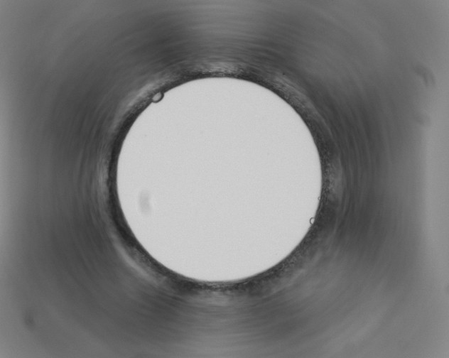 X0000113100538200910091141
