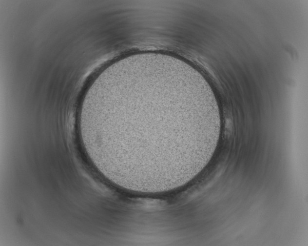 X0000113100539200910091141