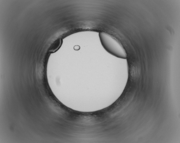 X0000113100540200910091141
