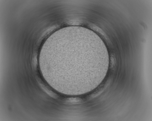 X0000113100541200910091141