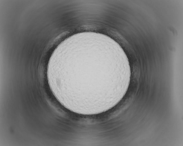 X0000113100542200910091141