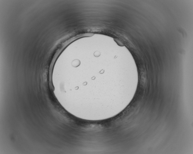 X0000113100543200910091141