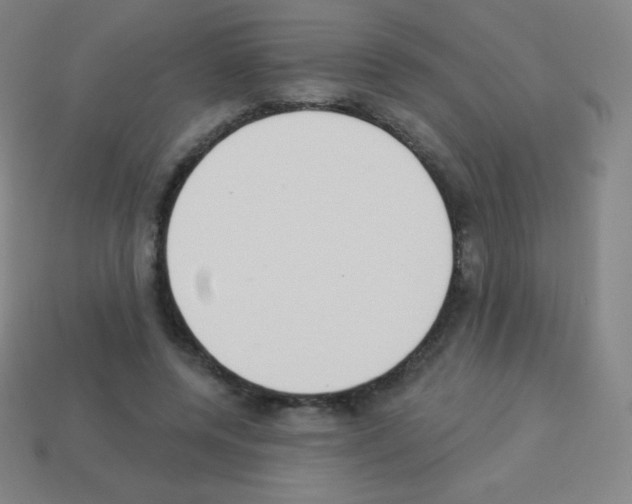 X0000113100544200910091141