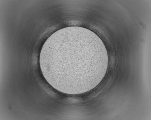 X0000113100545200910091141