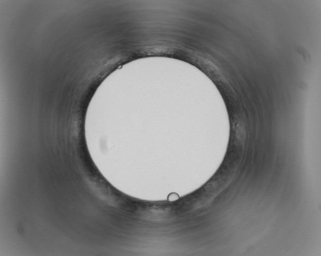 X0000113100546200910091141
