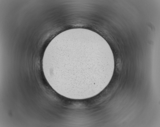 X0000113100547200910091141
