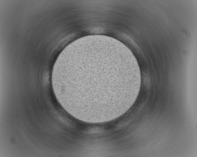 X0000113100549200910091141