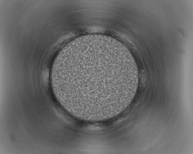 X0000113100550200910091141