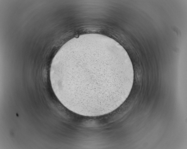 X0000113100551200910091141