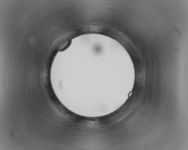 X0000113100552200910091141