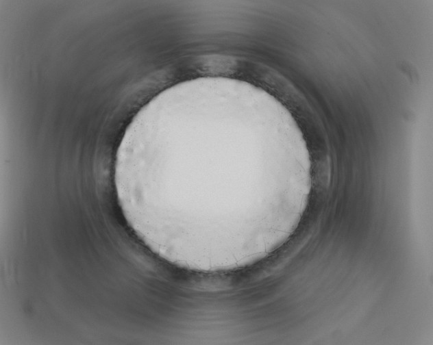 X0000113100553200910091141