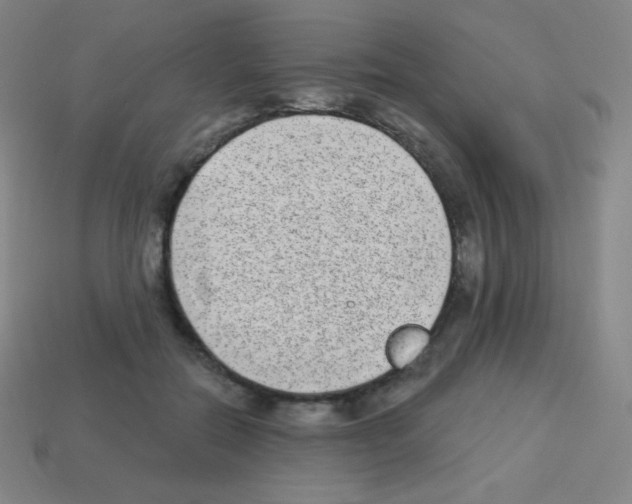 X0000113100554200910091141