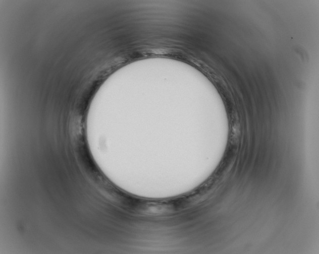 X0000113100555200910091141