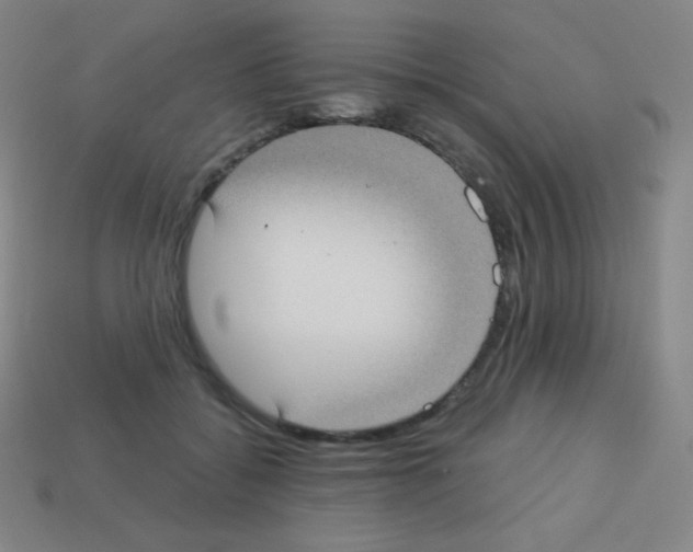 X0000113100556200910091141