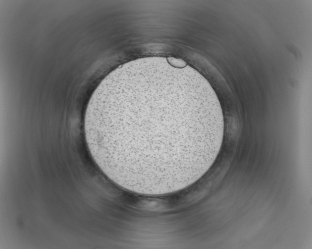 X0000113100557200910091141