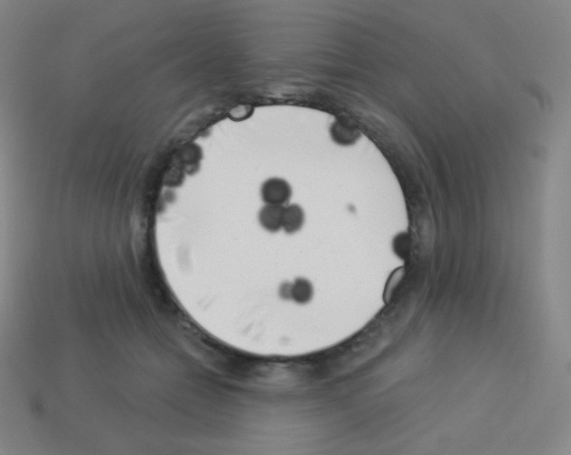 X0000113100558200910091141