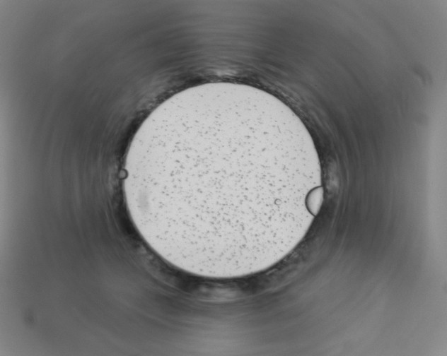 X0000113100559200910091141