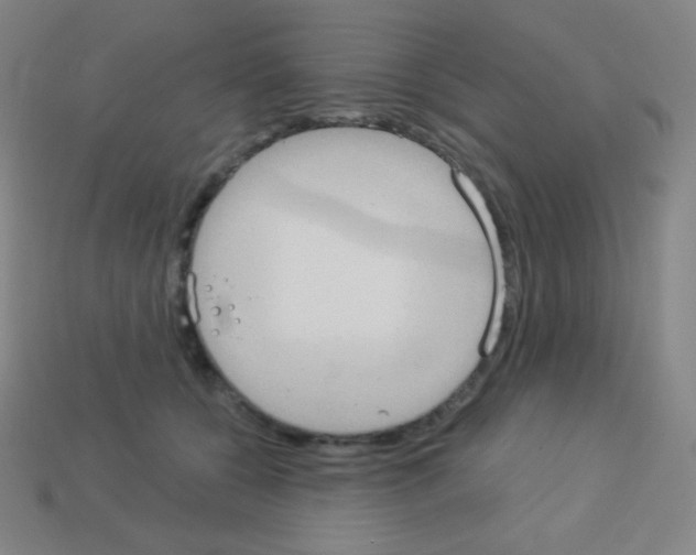 X0000113100560200910091141
