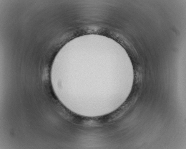 X0000113100561200910091141