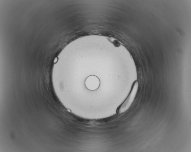 X0000113100562200910091141