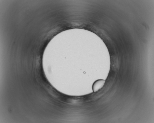X0000113100563200910091141