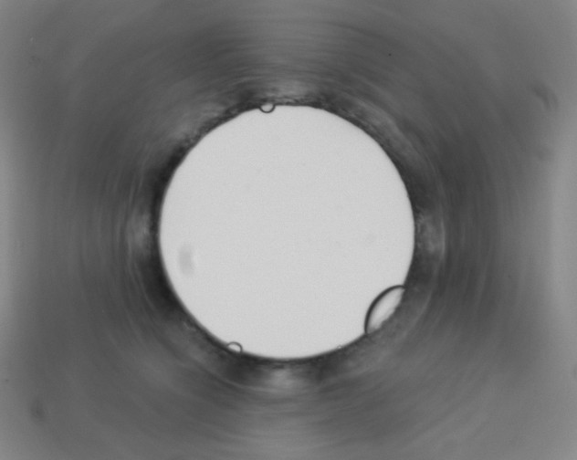 X0000113100564200910091141