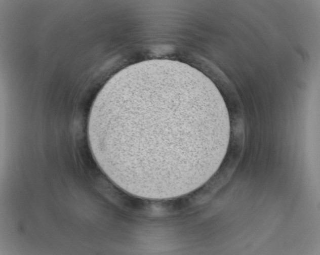 X0000113100565200910091142