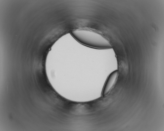 X0000113100566200910091142