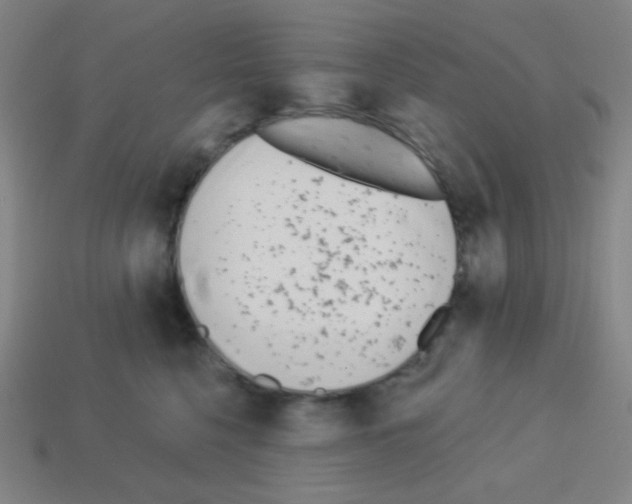 X0000113100568200910091142