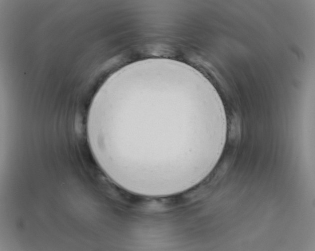 X0000113100569200910091142